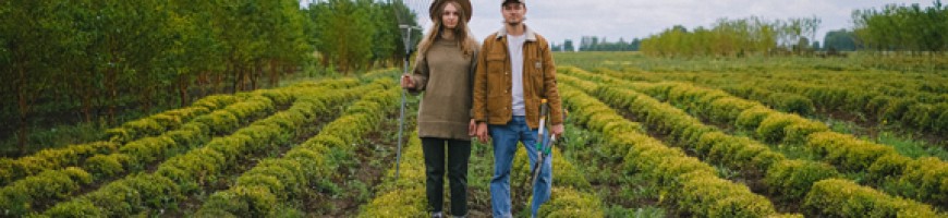 Top financial strategies for young farmers