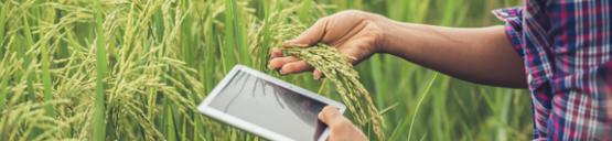 How farmers and processors can stay innovative